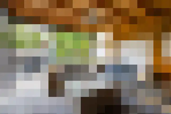 Julianastraat 22 Aalten thumbnail 41