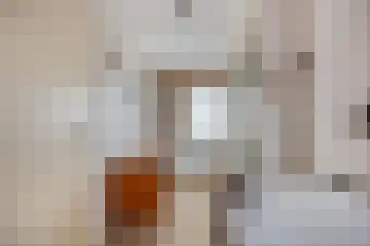 Julianastraat 22 Dongen thumbnail 21