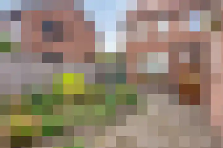 Julianastraat 22 Dongen thumbnail 25
