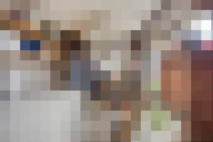 Julianastraat 22 Dongen thumbnail 28