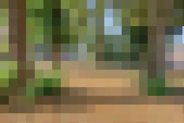 Julianastraat 22 Dongen thumbnail 29