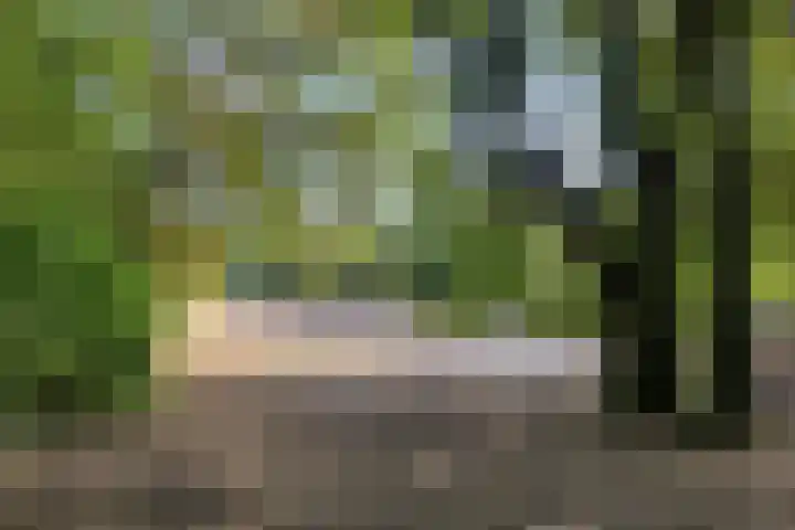 Julianastraat 22 Dongen thumbnail 31