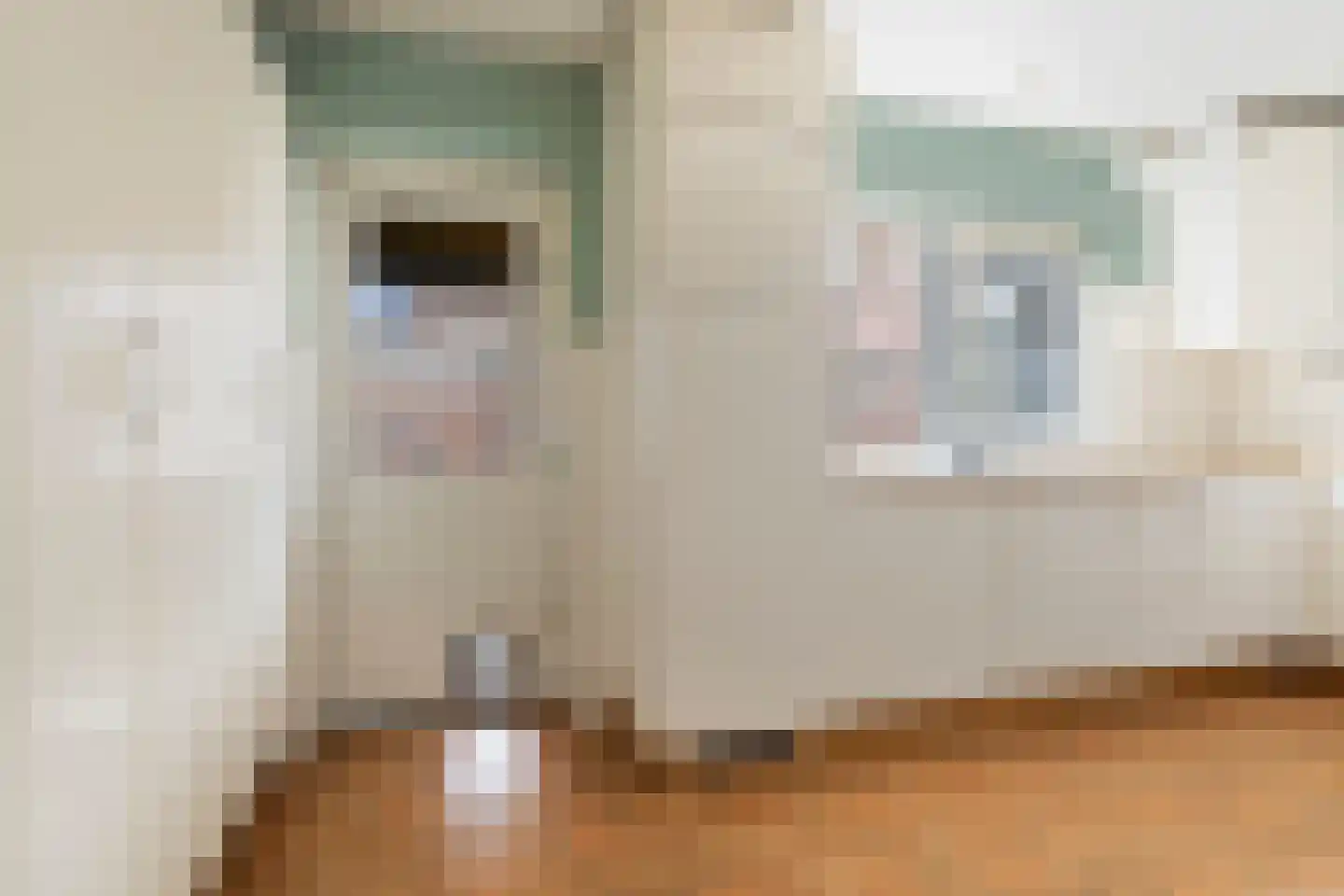Julianastraat 22 Hoeven thumbnail 15