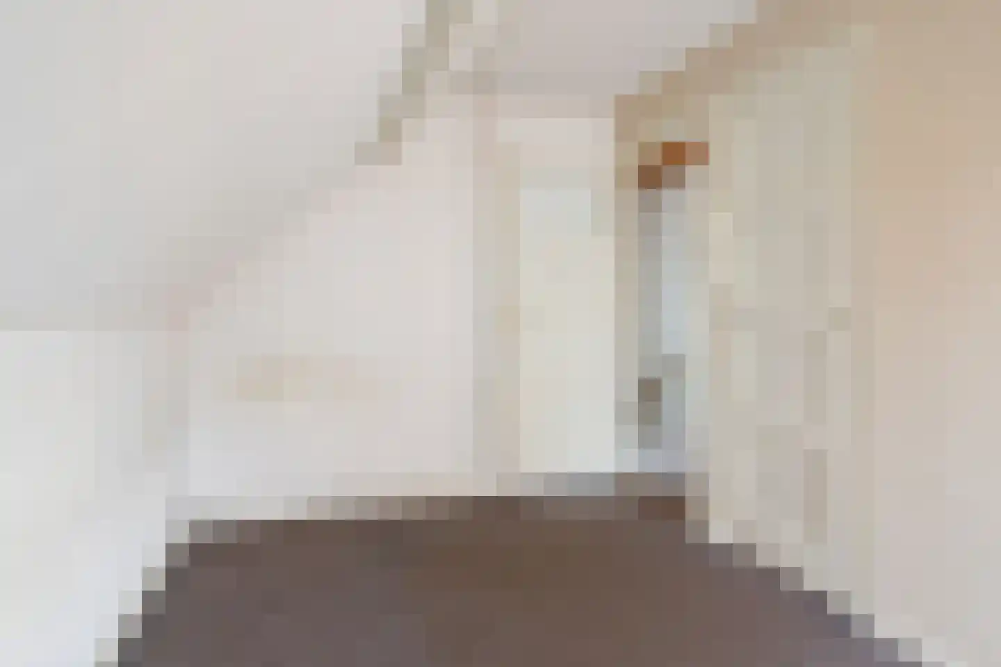 Julianastraat 22 Hoeven thumbnail 21