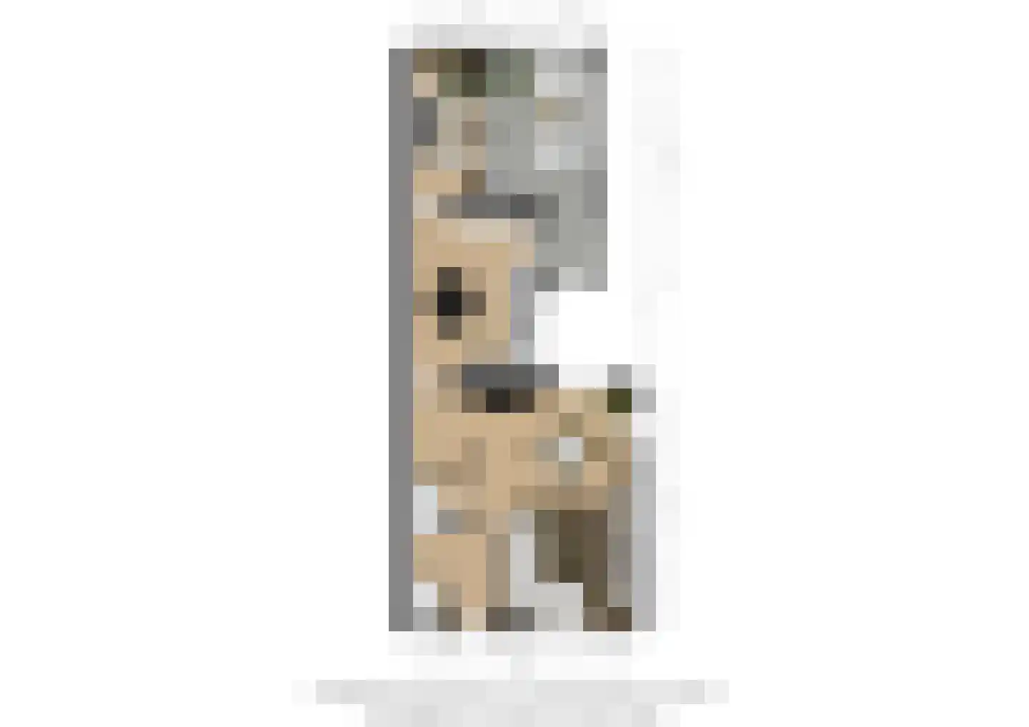 Julianastraat 22 Hoeven thumbnail 32