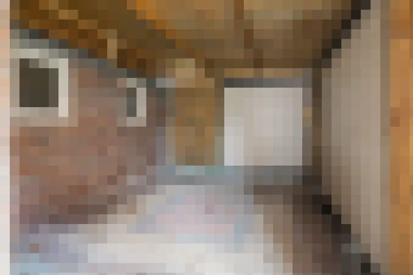 Julianastraat 22 Hoeven thumbnail 7
