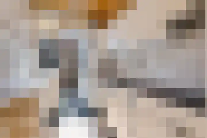 Julianastraat 22 Noordwijkerhout thumbnail 10