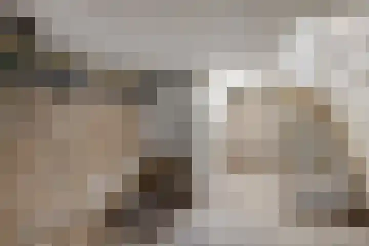 Julianastraat 22 Noordwijkerhout thumbnail 8