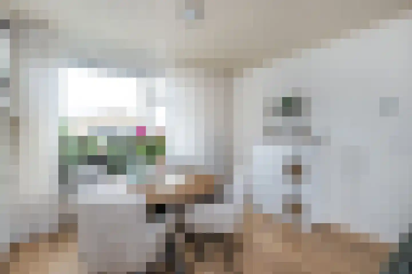 Julianastraat 22 Oude-Tonge thumbnail 10