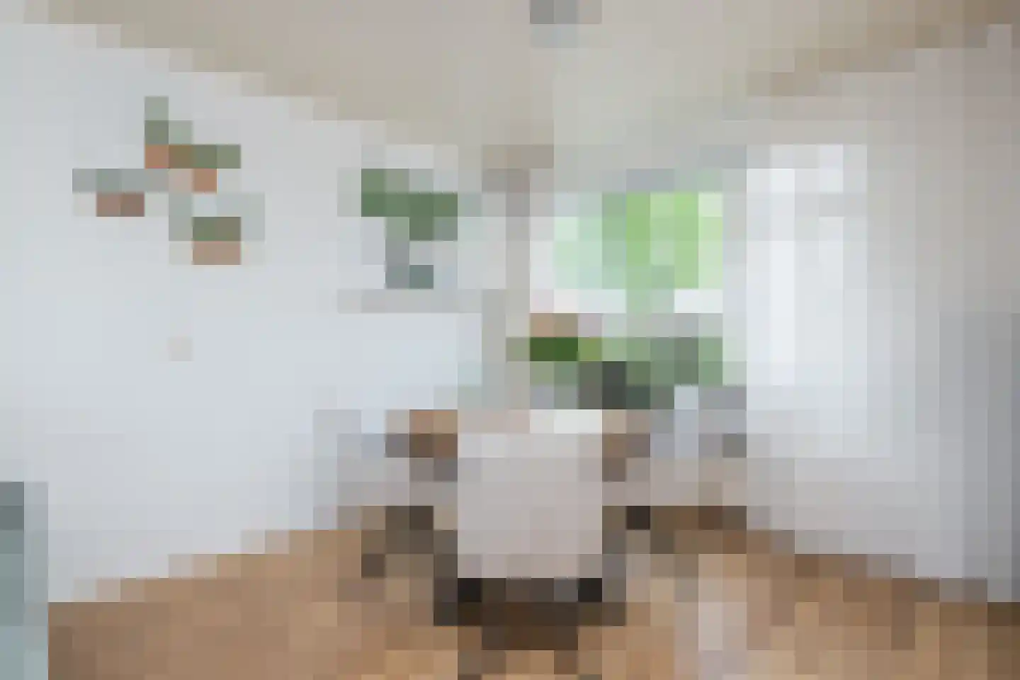 Julianastraat 22 Oude-Tonge thumbnail 11