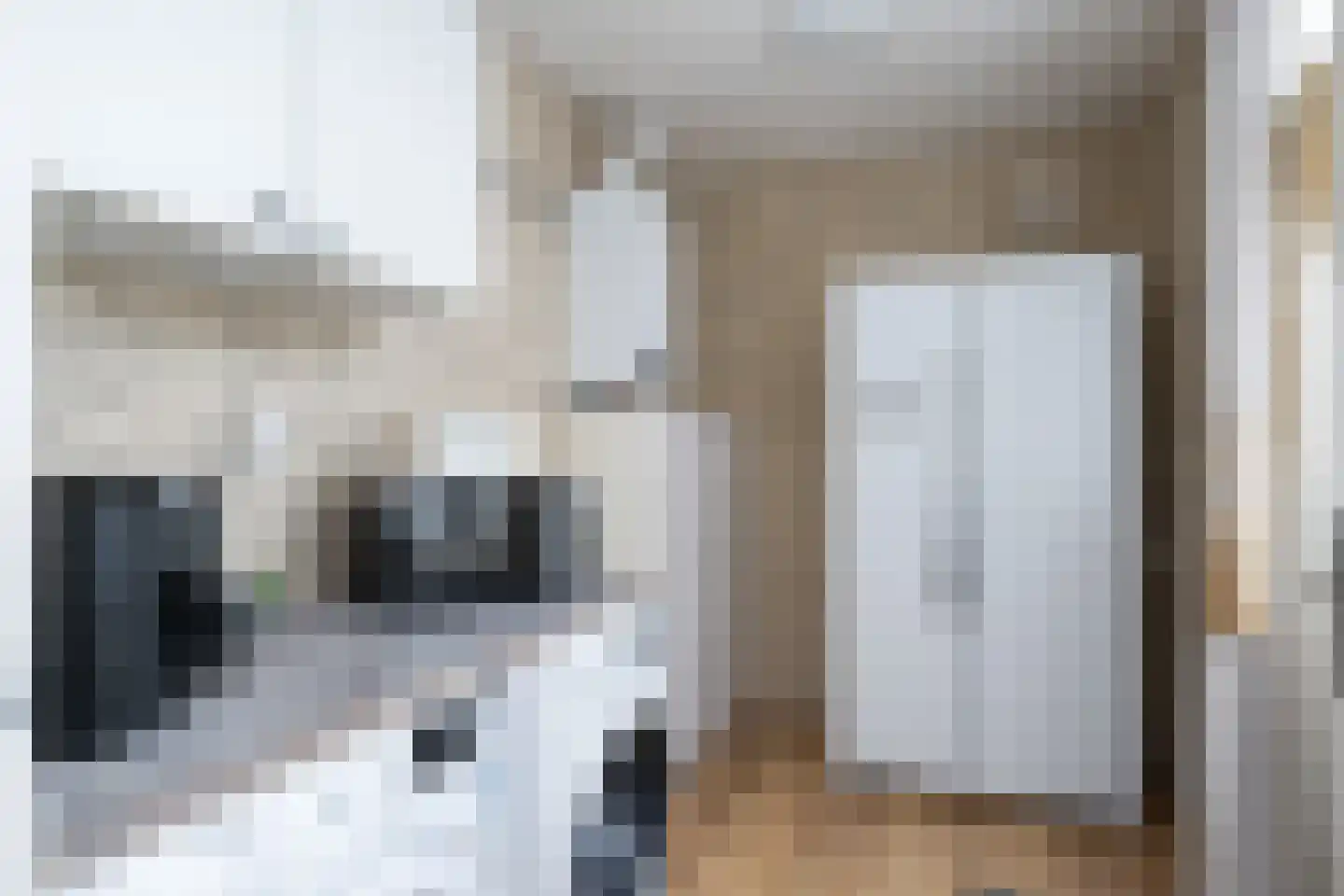 Julianastraat 22 Oude-Tonge thumbnail 15