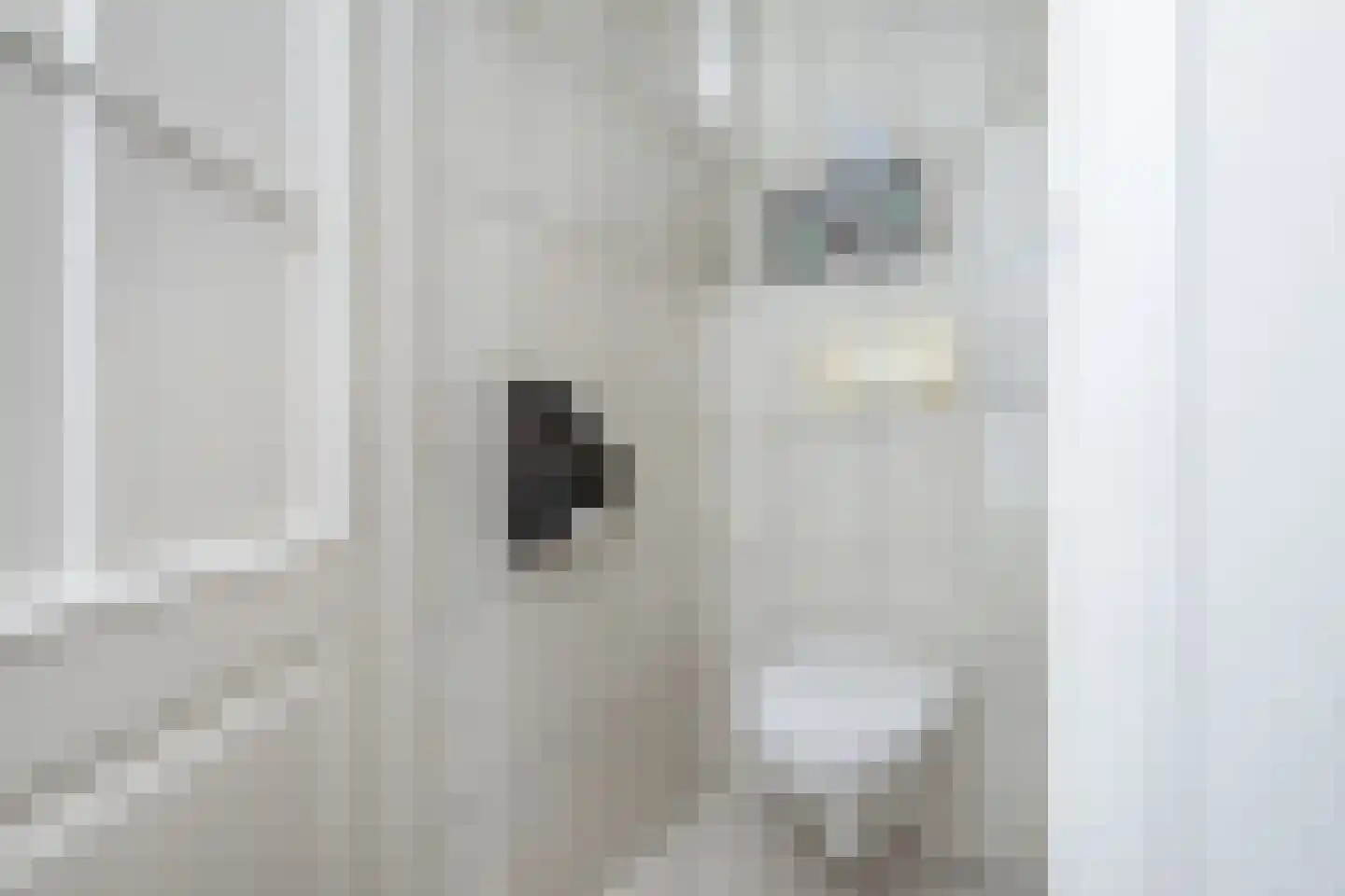 Julianastraat 22 Oude-Tonge thumbnail 17