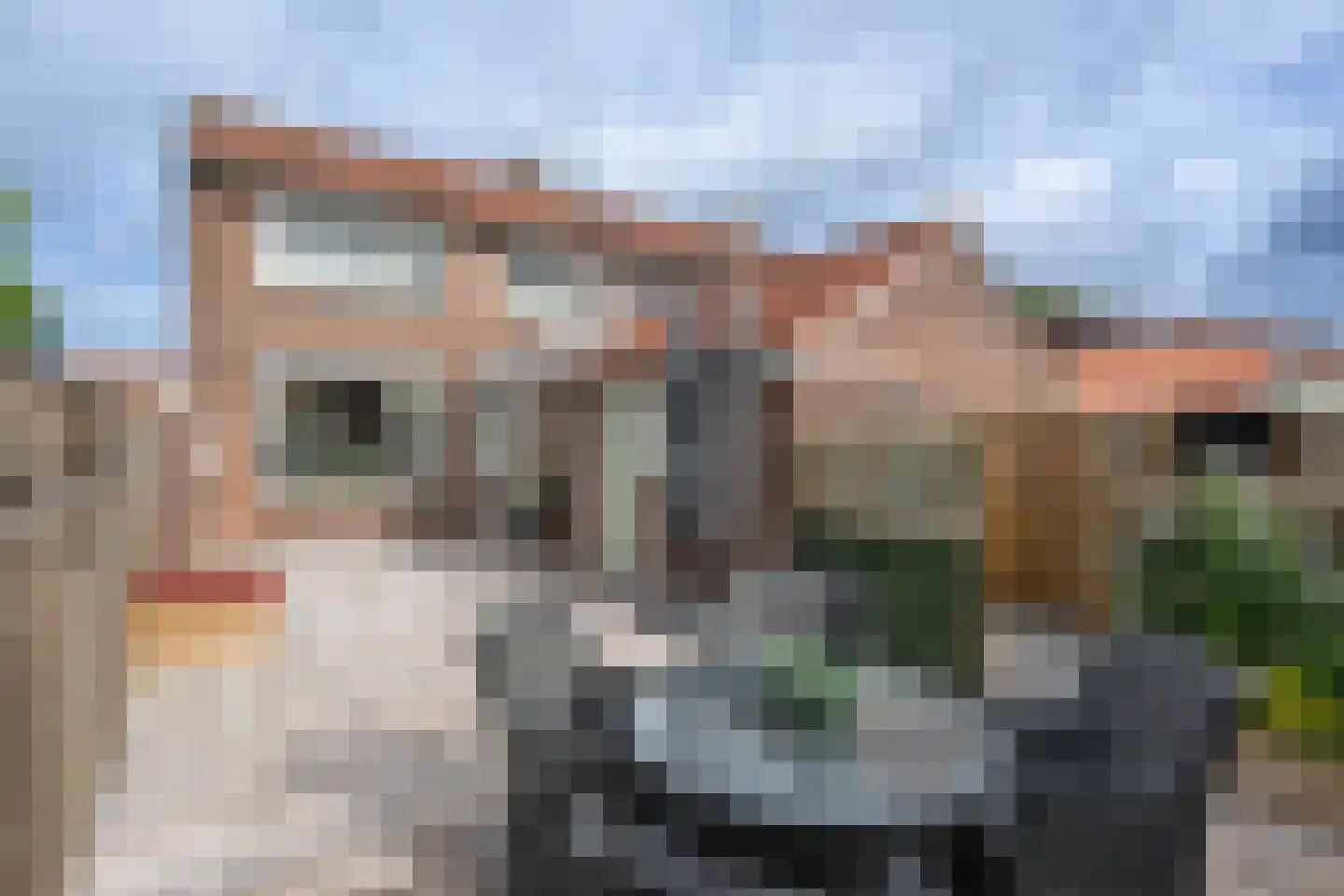 Julianastraat 22 Oude-Tonge thumbnail 27