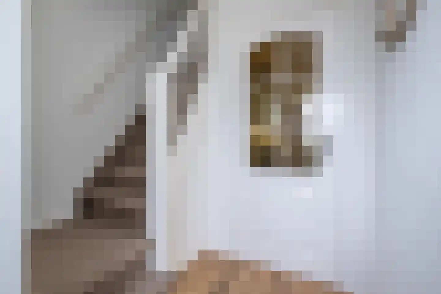 Julianastraat 22 Oude-Tonge thumbnail 4