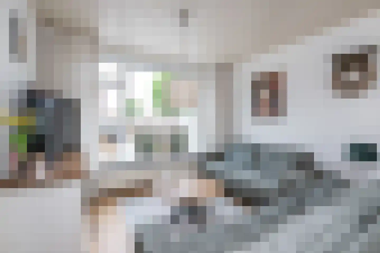 Julianastraat 22 Oude-Tonge thumbnail 6