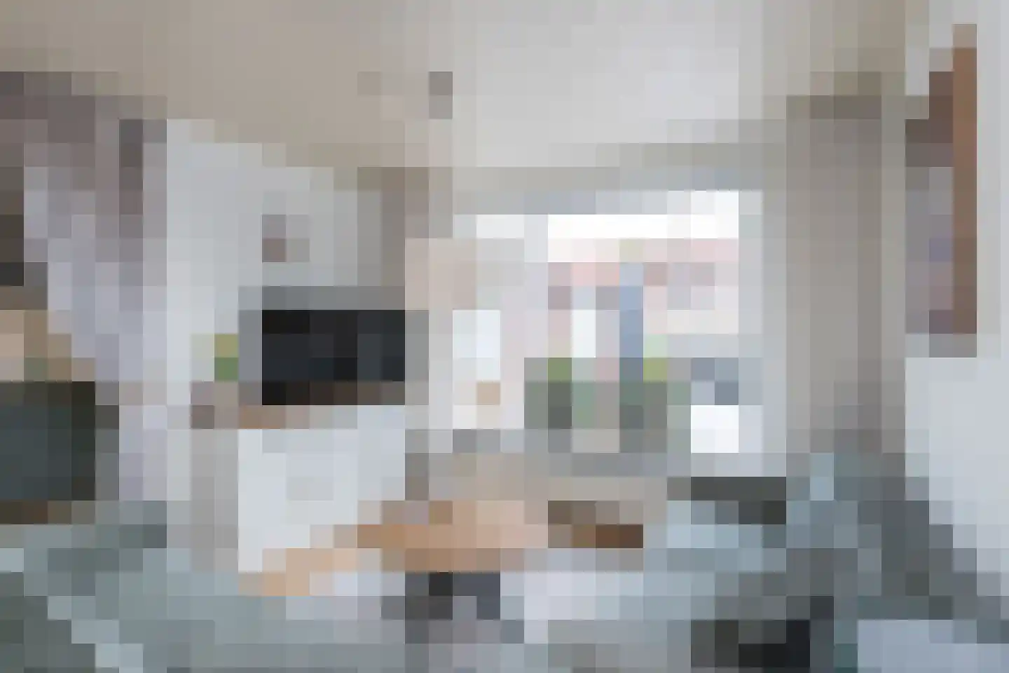 Julianastraat 22 Oude-Tonge thumbnail 7