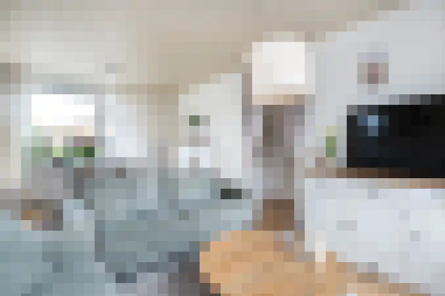 Julianastraat 22 Oude-Tonge thumbnail 8