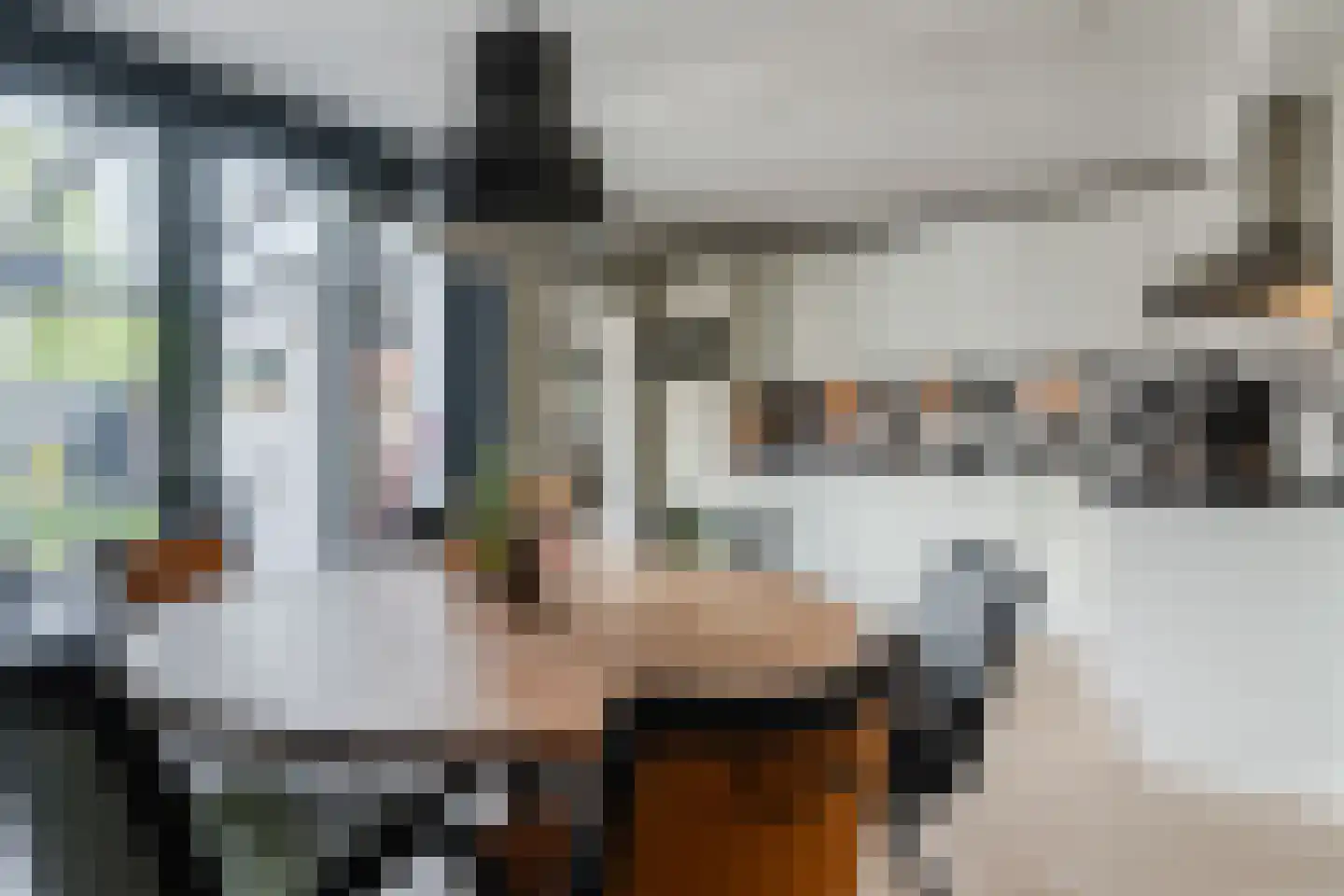 Julianastraat 22 Sint-Oedenrode thumbnail 13