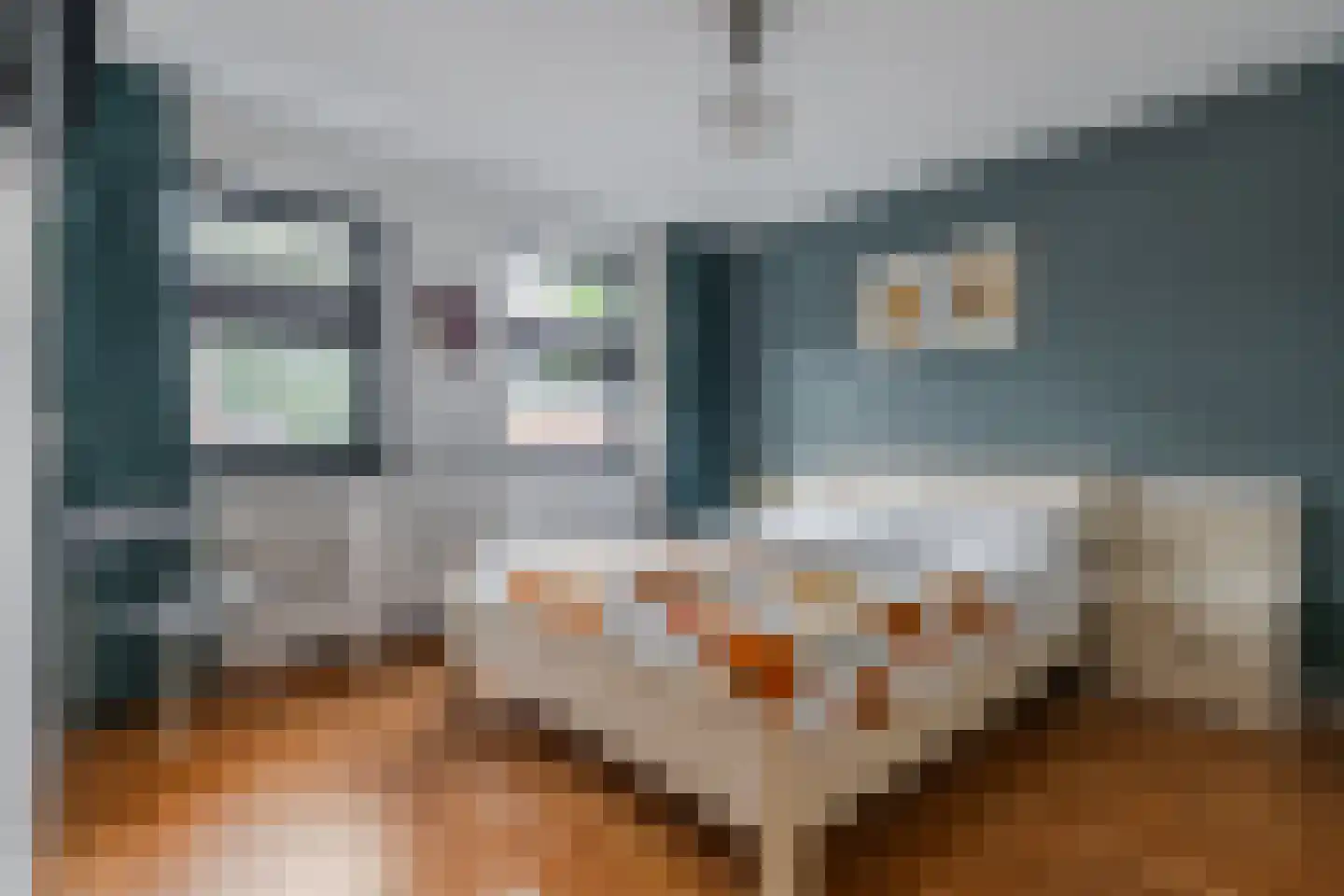 Julianastraat 22 Sint-Oedenrode thumbnail 25