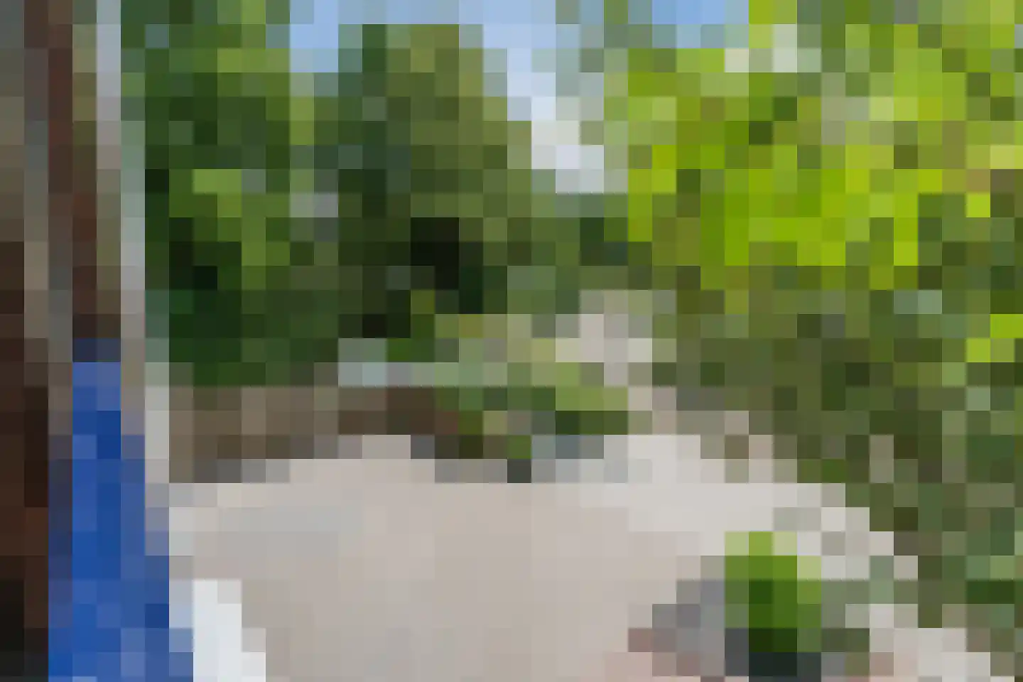 Julianastraat 22 Sint-Oedenrode thumbnail 28