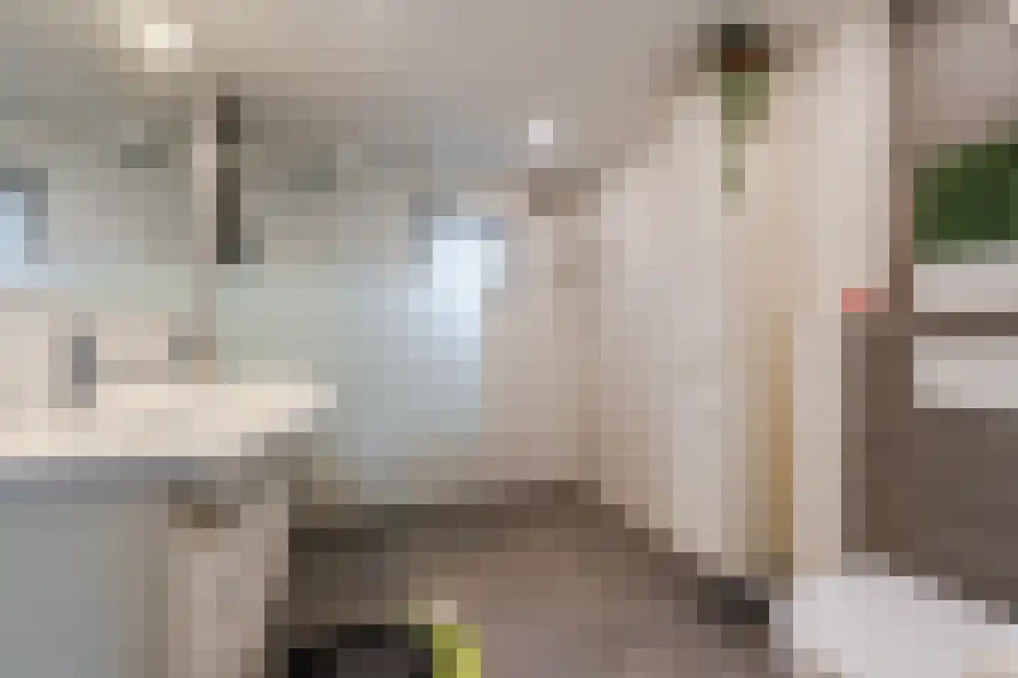 Julianastraat 22 Sint-Oedenrode thumbnail 30