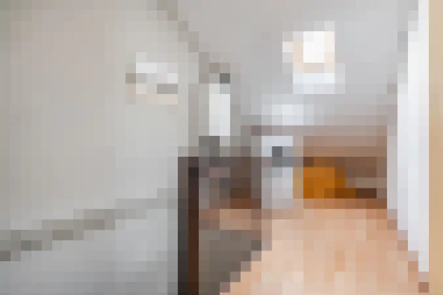 Julianastraat 22 Sint-Oedenrode thumbnail 33