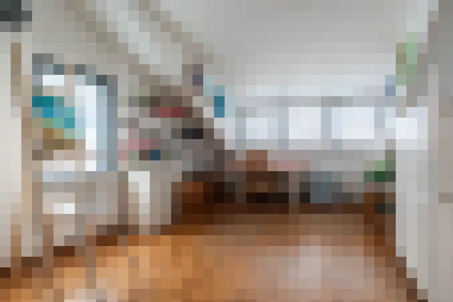 Julianastraat 22 Sint-Oedenrode thumbnail 34