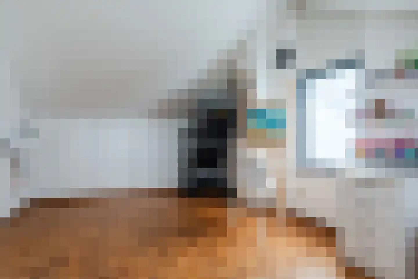 Julianastraat 22 Sint-Oedenrode thumbnail 35