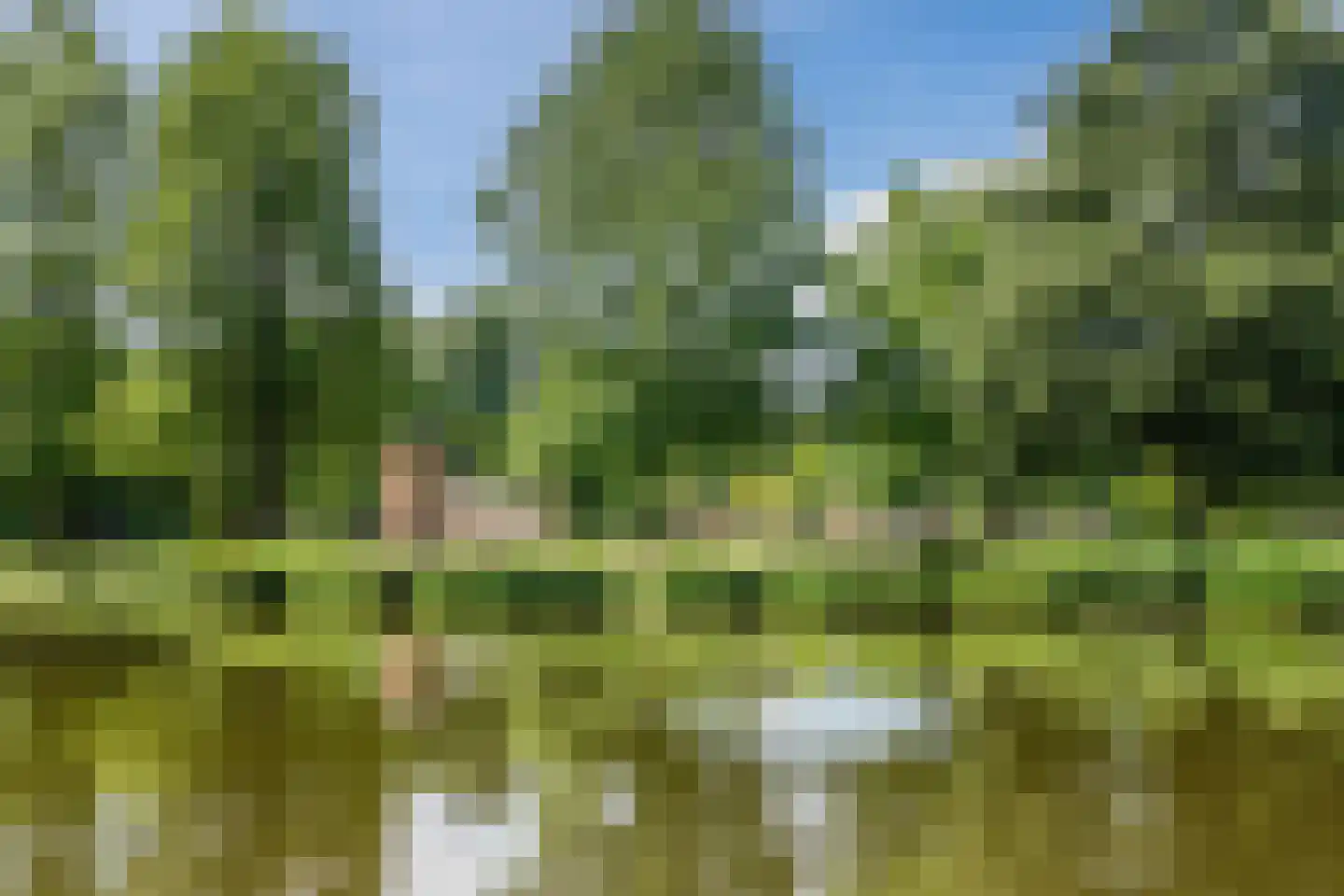Julianastraat 22 Sint-Oedenrode thumbnail 47