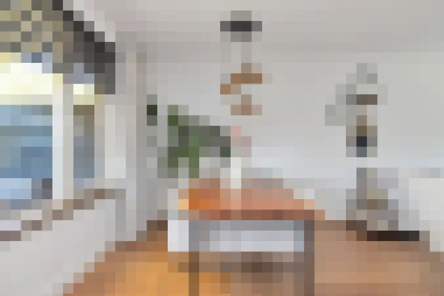 Julianastraat 22 't Zand thumbnail 10