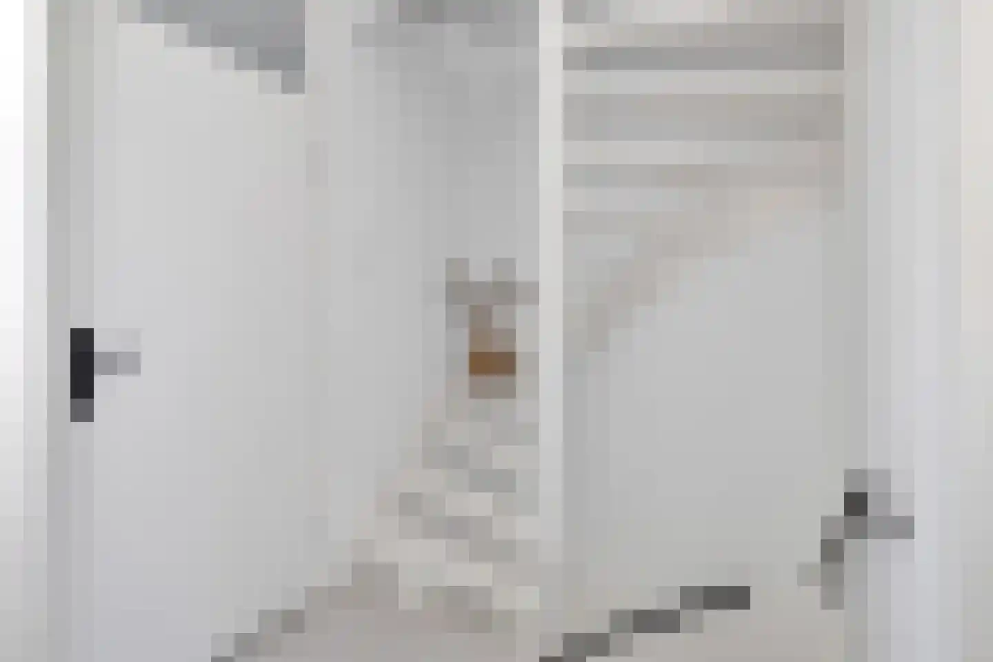 Julianastraat 22 't Zand thumbnail 13