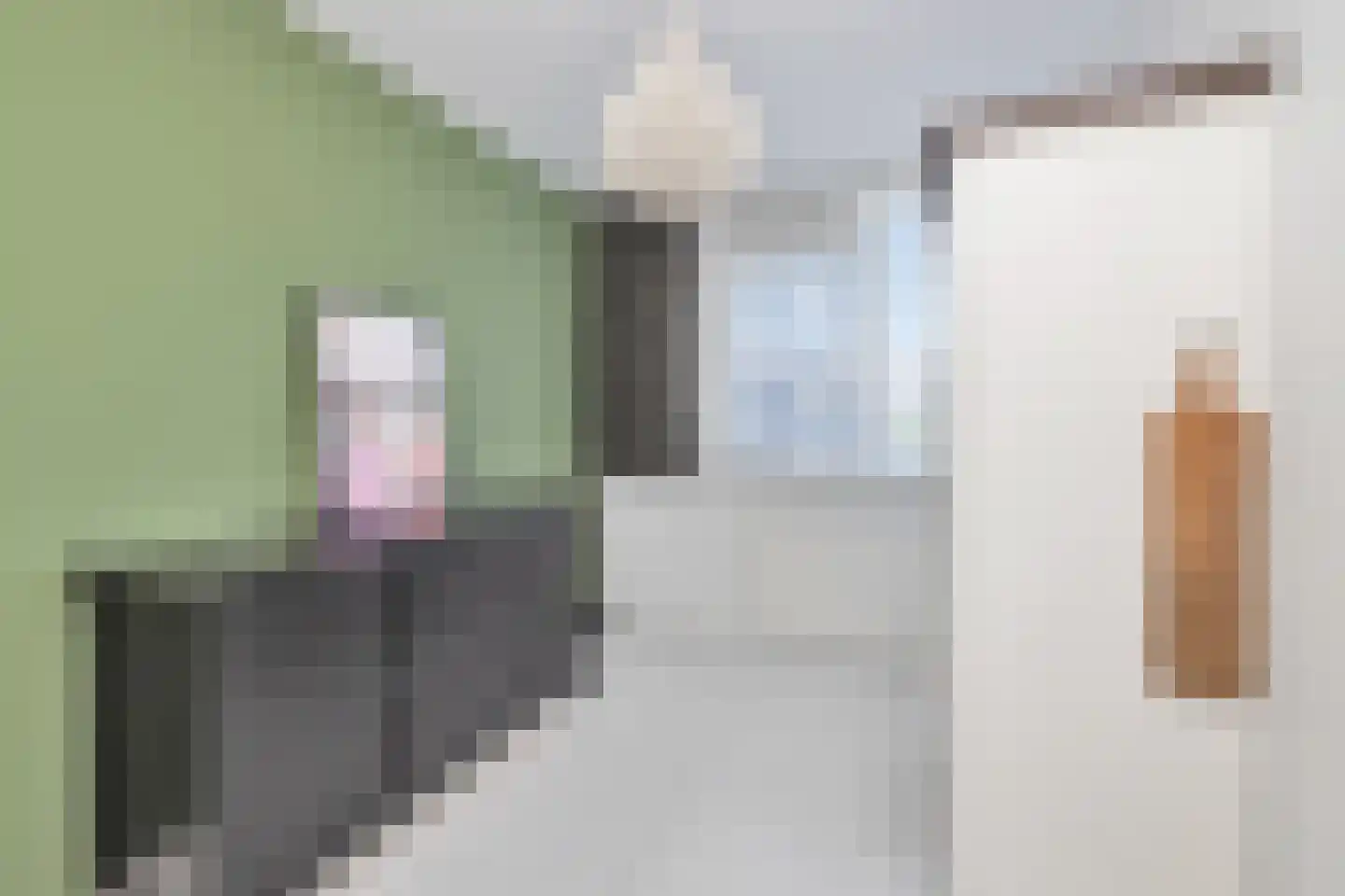 Julianastraat 22 't Zand thumbnail 16