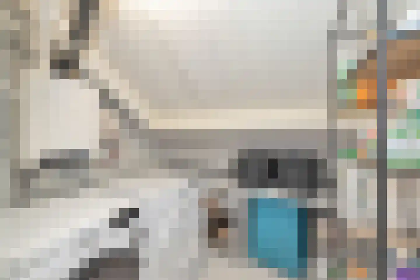 Julianastraat 22 't Zand thumbnail 24