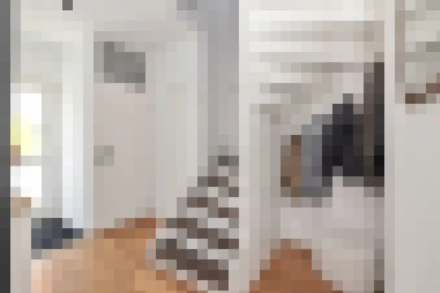 Julianastraat 22 't Zand thumbnail 7