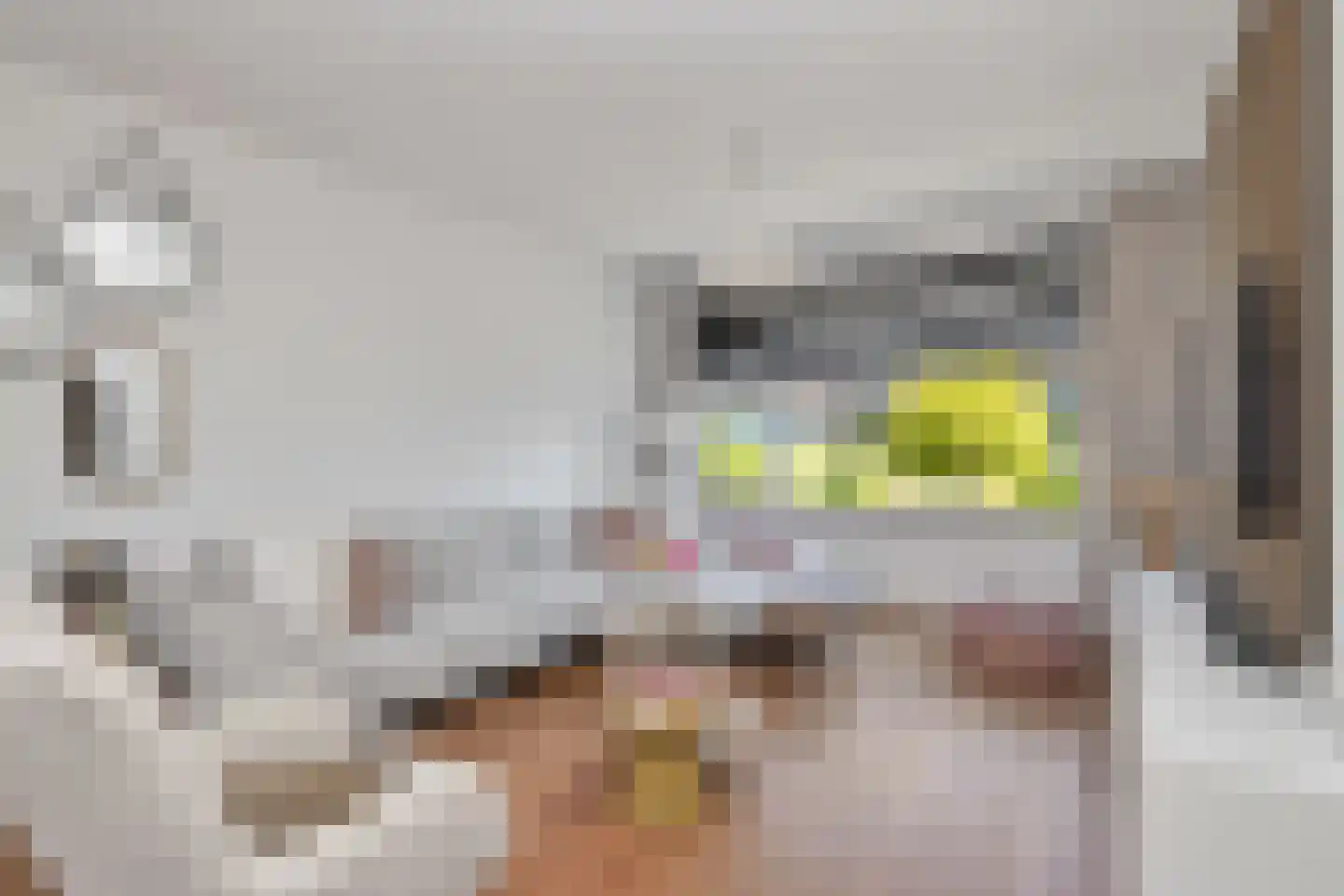 Julianastraat 22 't Zand thumbnail 8