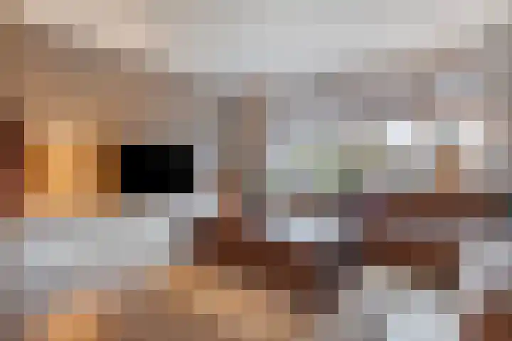 Julianastraat 22 Tubbergen thumbnail 11