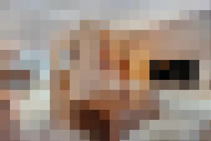 Julianastraat 22 Tubbergen thumbnail 12