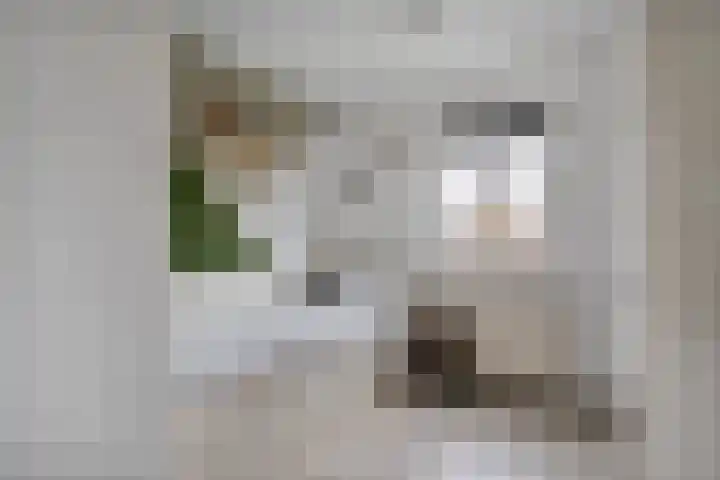 Julianastraat 22 Tubbergen thumbnail 16