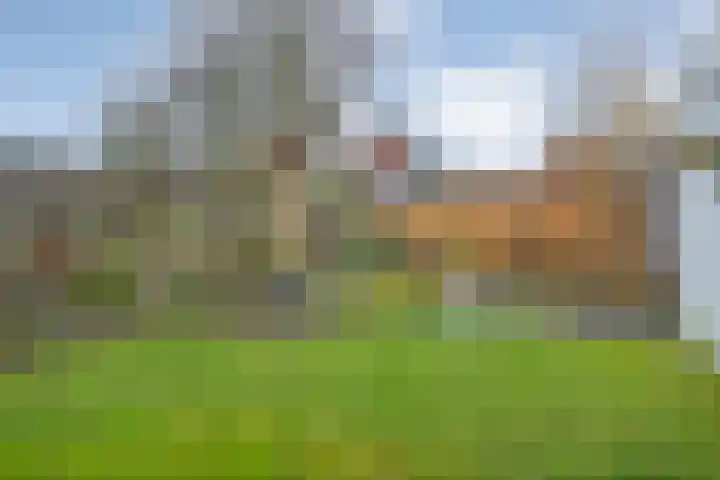 Julianastraat 22 Tubbergen thumbnail 25