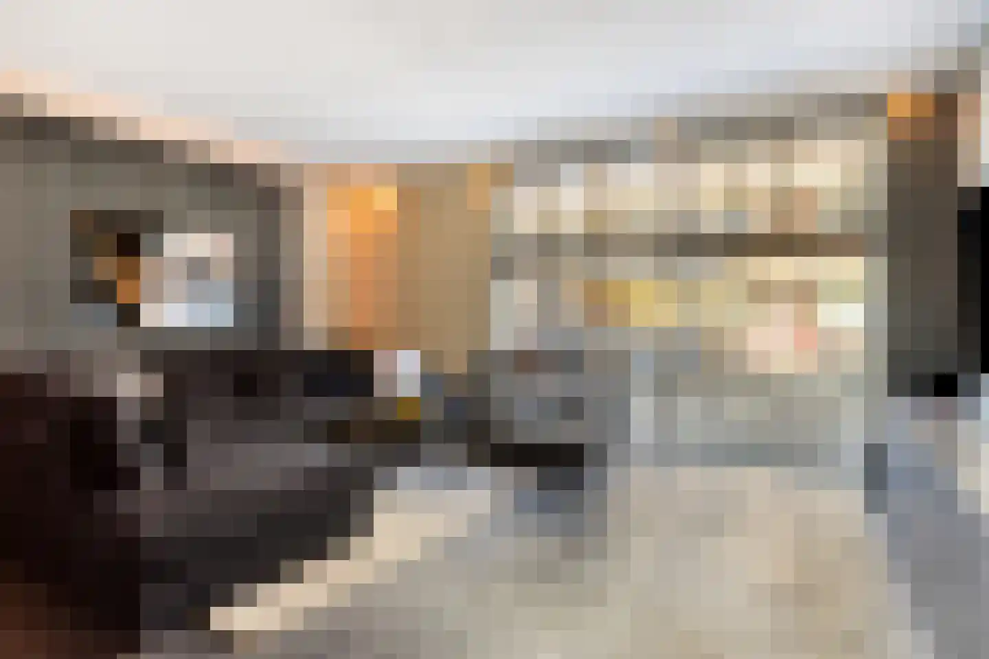 Julianastraat 23 a Sliedrecht thumbnail 11