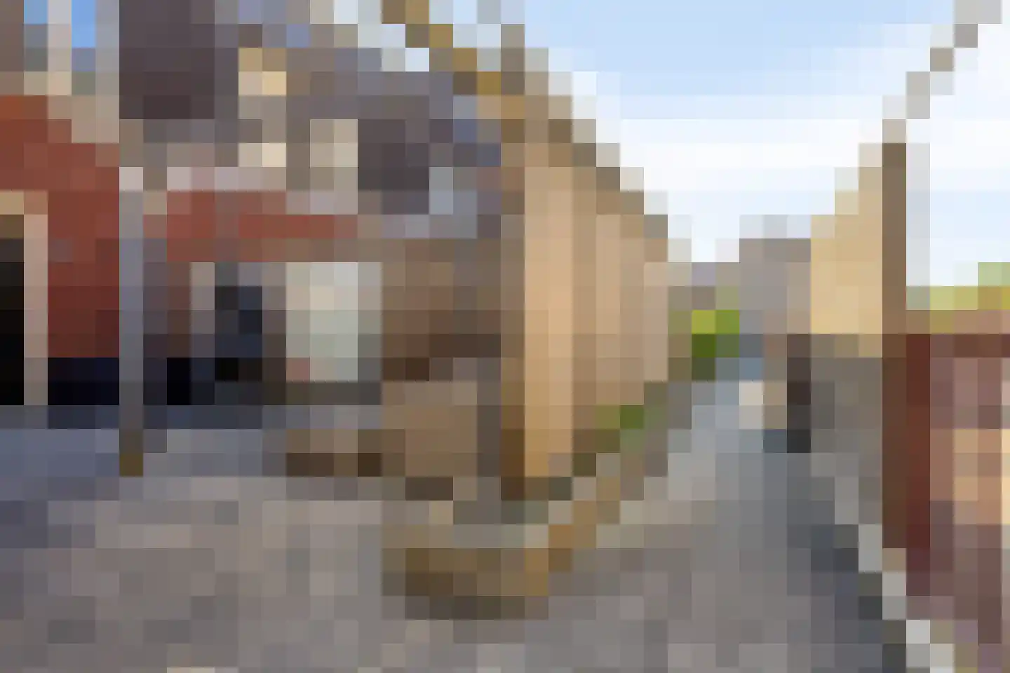 Julianastraat 23 a Sliedrecht thumbnail 37