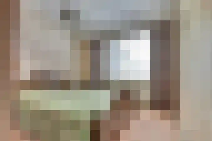Julianastraat 23 Burgh-Haamstede thumbnail 17