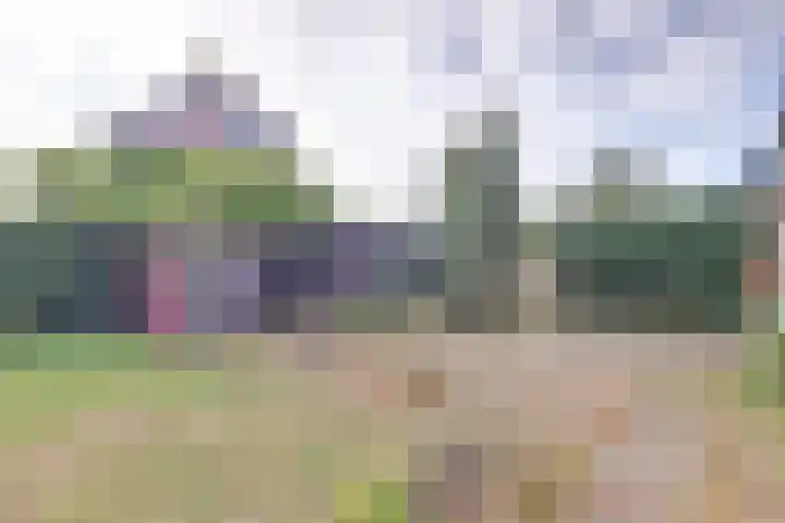 Julianastraat 23 Burgh-Haamstede thumbnail 26