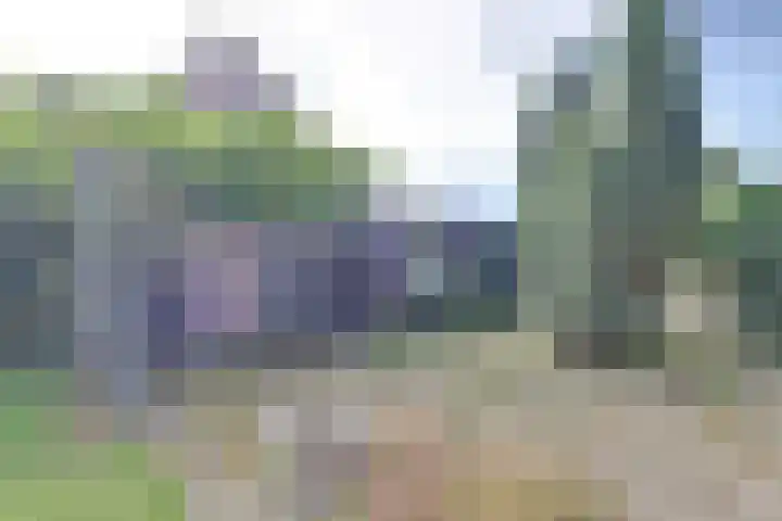 Julianastraat 23 Burgh-Haamstede thumbnail 31