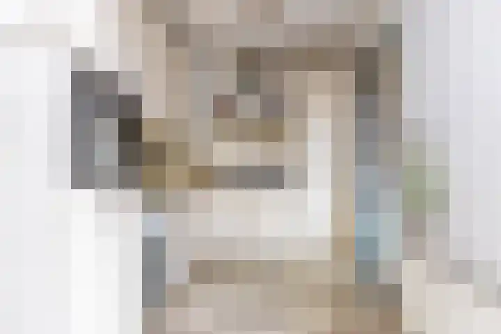 Julianastraat 23 Groningen thumbnail 16