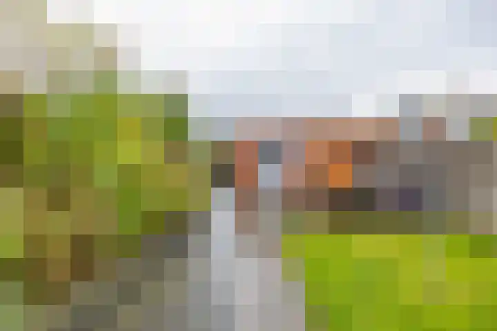 Julianastraat 23 Groningen thumbnail 19