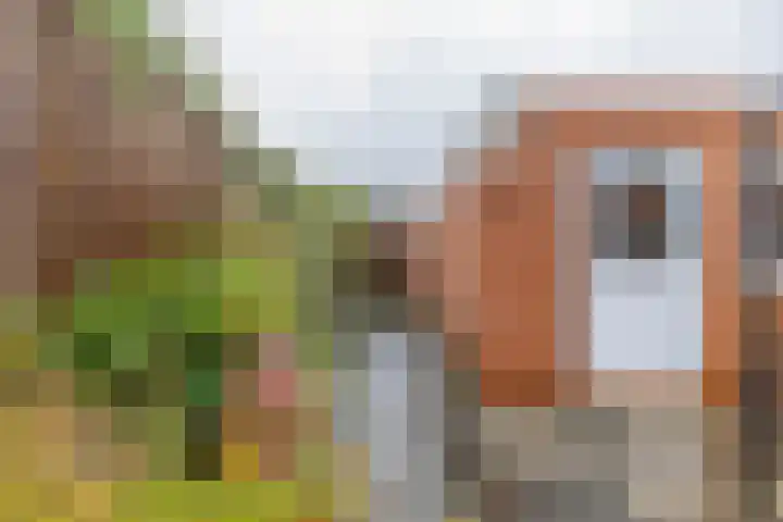 Julianastraat 23 Groningen thumbnail 20