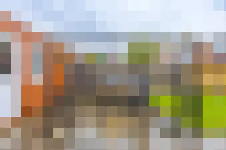 Julianastraat 23 Groningen thumbnail 21