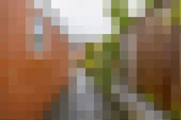 Julianastraat 23 Groningen thumbnail 23