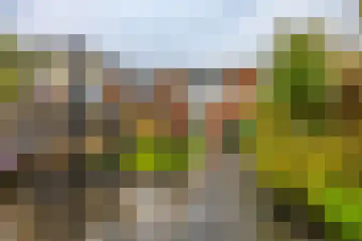 Julianastraat 23 Groningen thumbnail 24